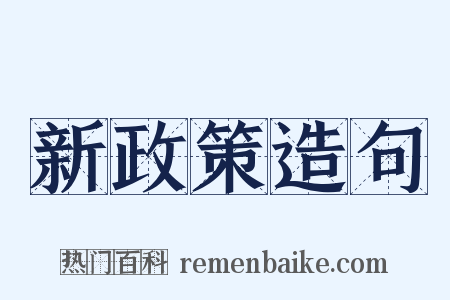 新政策造句是什么意思的图片